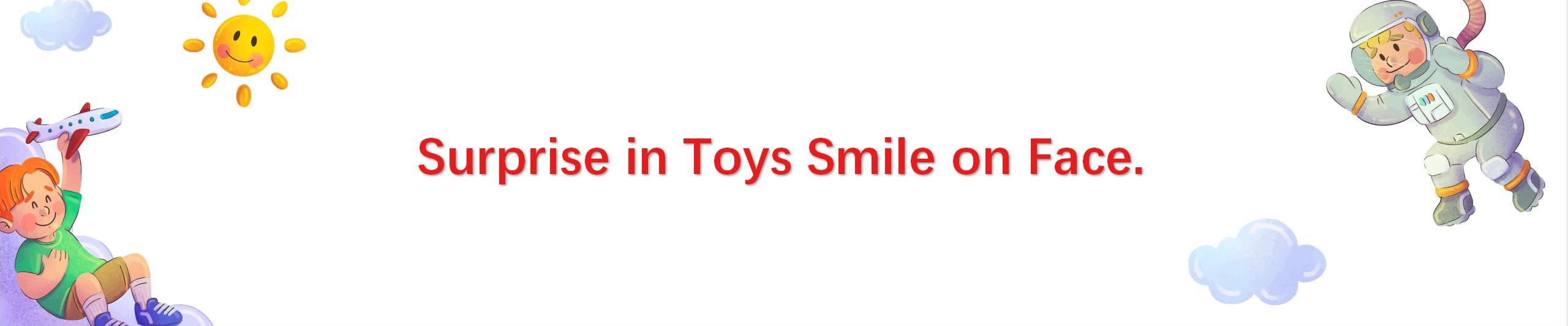 公司详情 company profile 202509_16